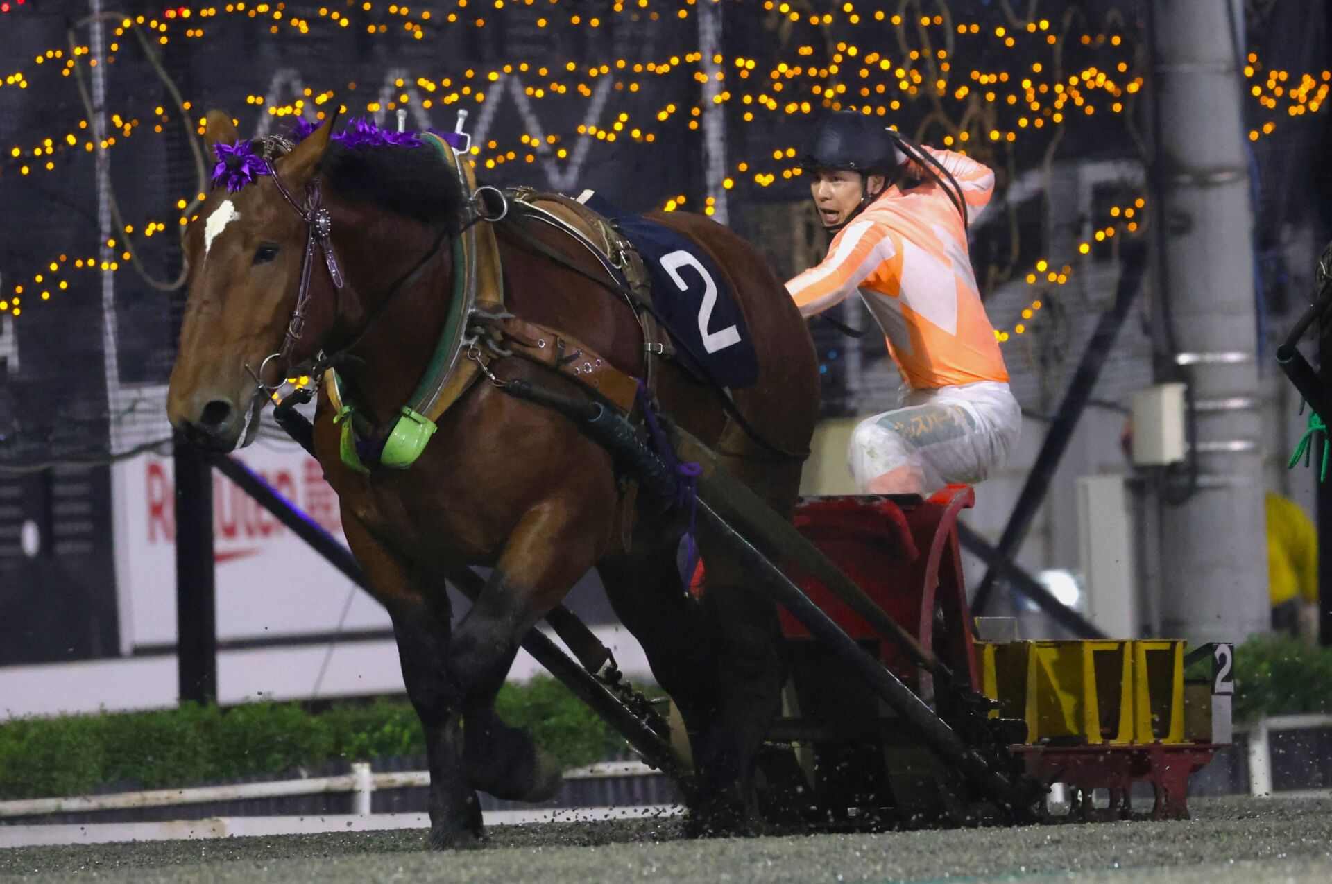 合う馬 合う馬 スリクソン ZXシリーズ アイアンフィッティング