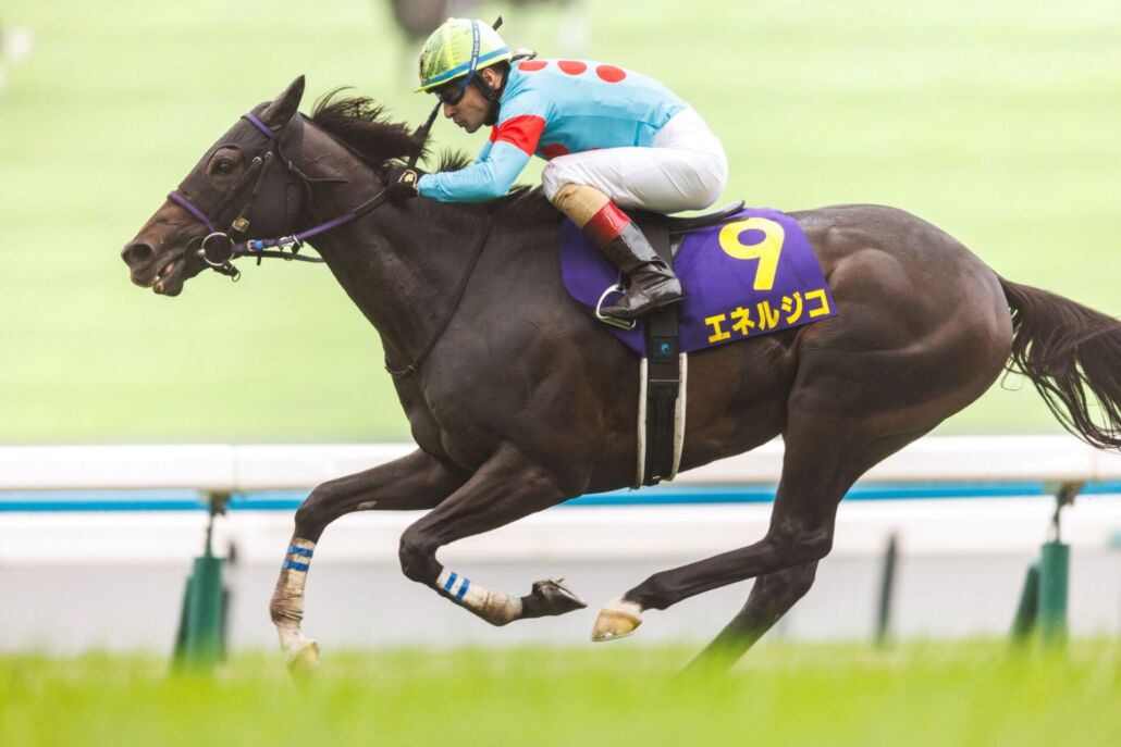 中山グランドJ登録馬】オジュウチョウサンなど9頭 | 競馬