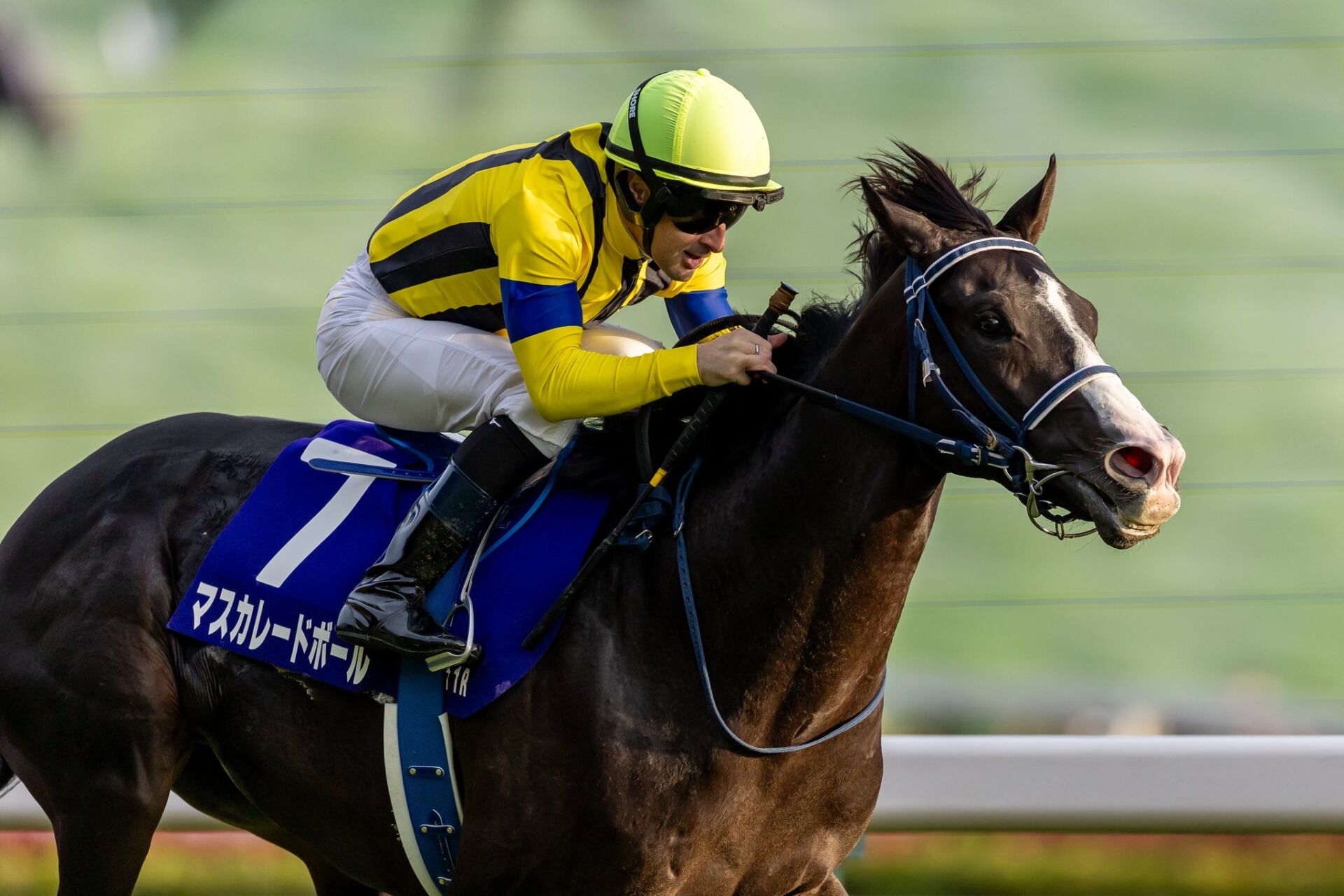 競馬　C.デムーロ騎手　サイン入り　実使用　ジョッキーパンツ 競馬 C.デムーロ騎手 サイン入り 実使用 ジョッキーパンツ - メルカリ