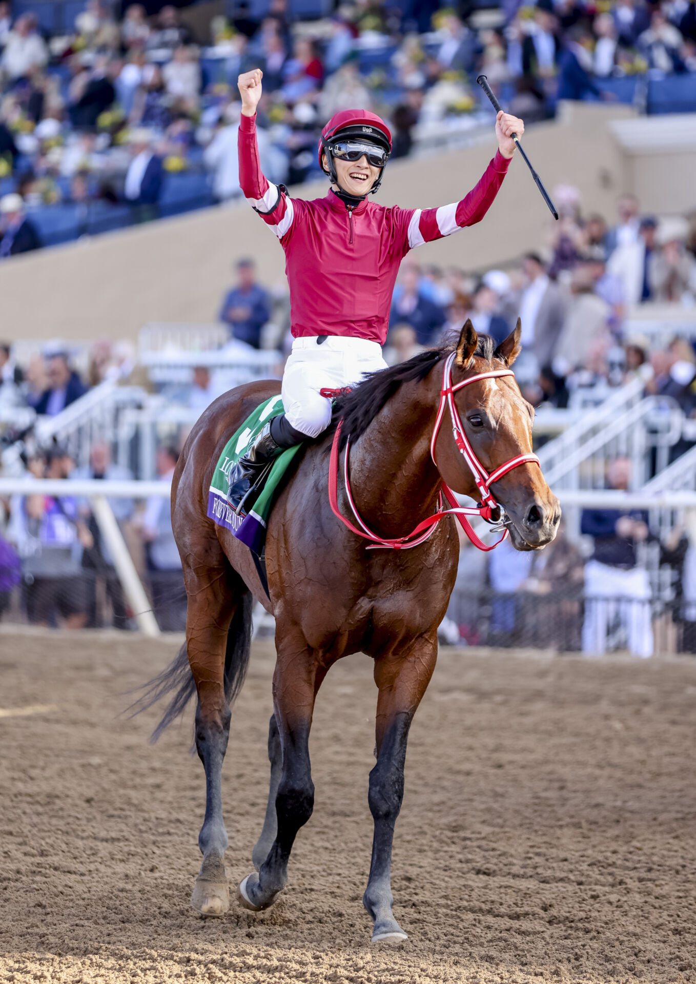 4152d765723e6795a76fab945e282d