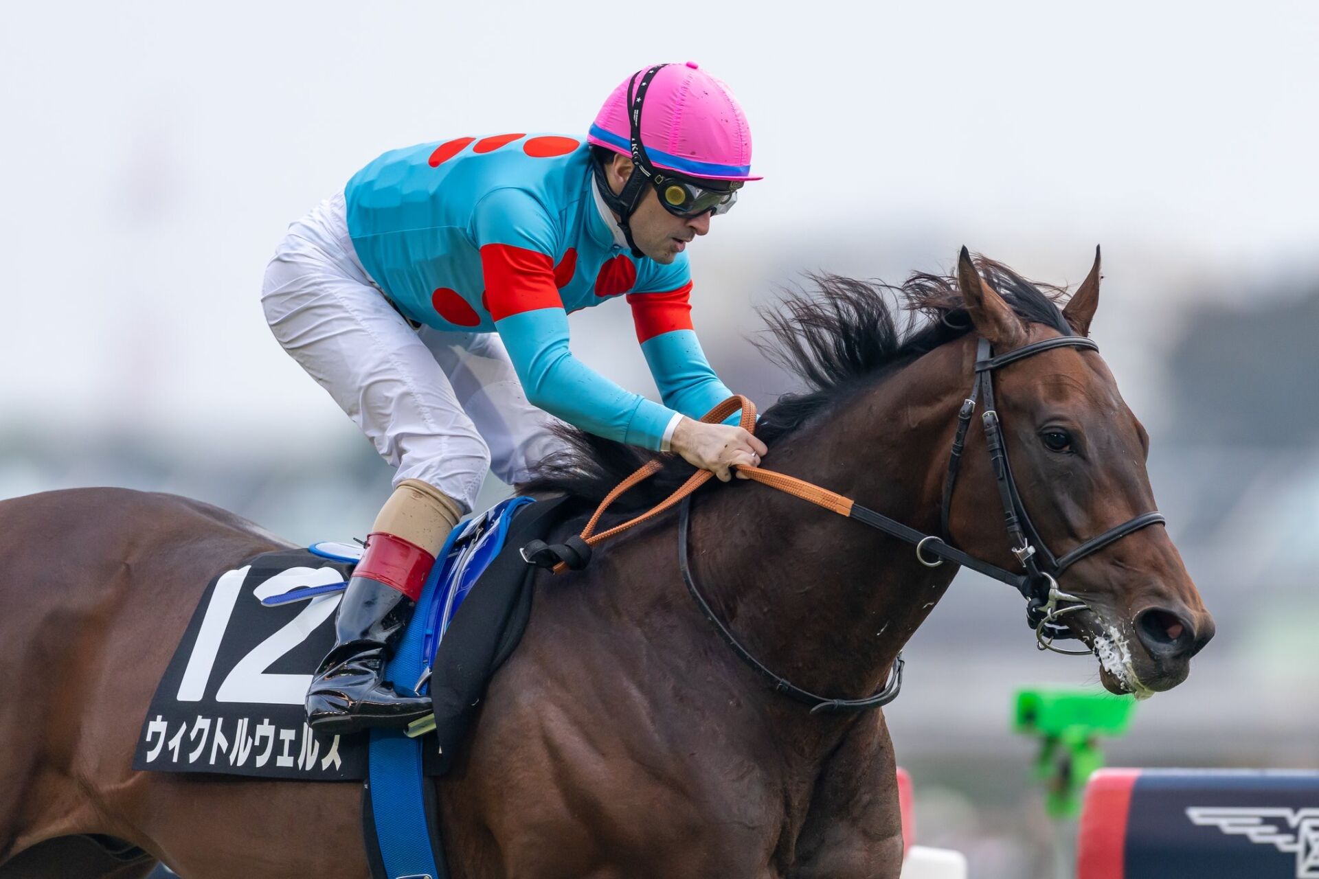 44F2EAC2-D47B-4282-AA01-