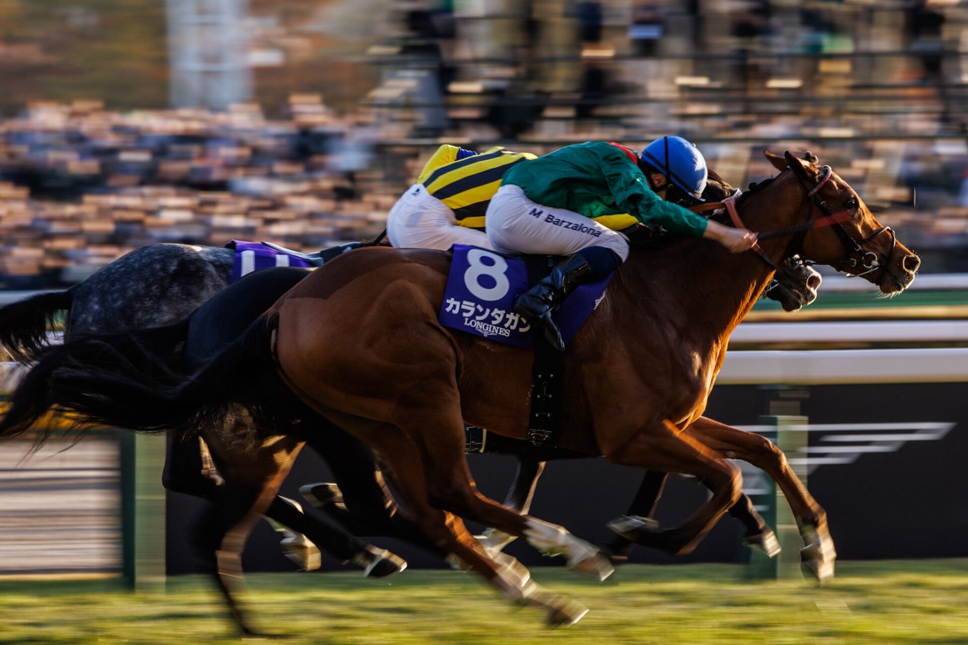 カランダガン の写真ギャラリー| 競馬ニュースなら競馬のおはなし