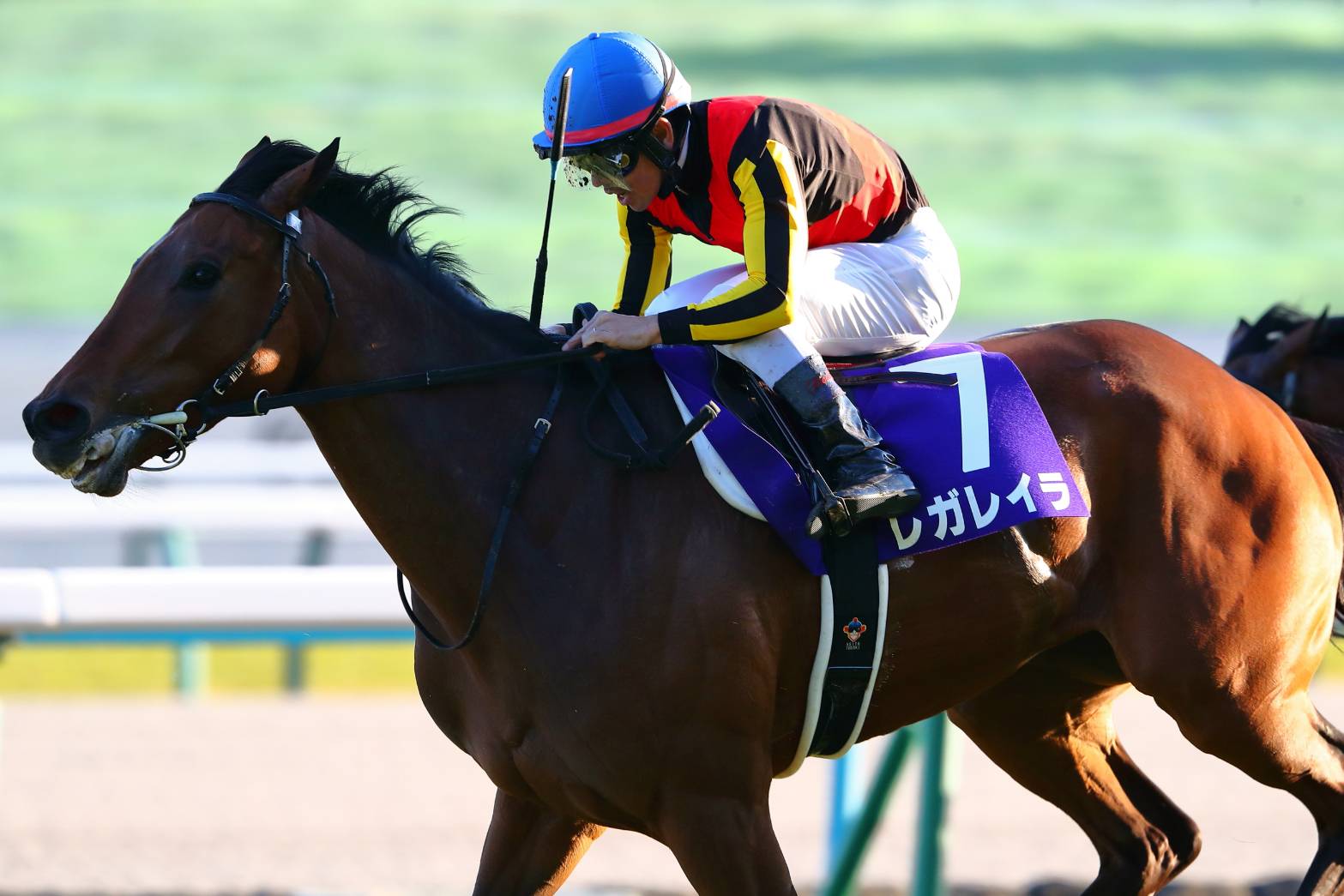 有馬記念】レガレイラが第2回中間発表でも首位堅持…2位クロワデュ