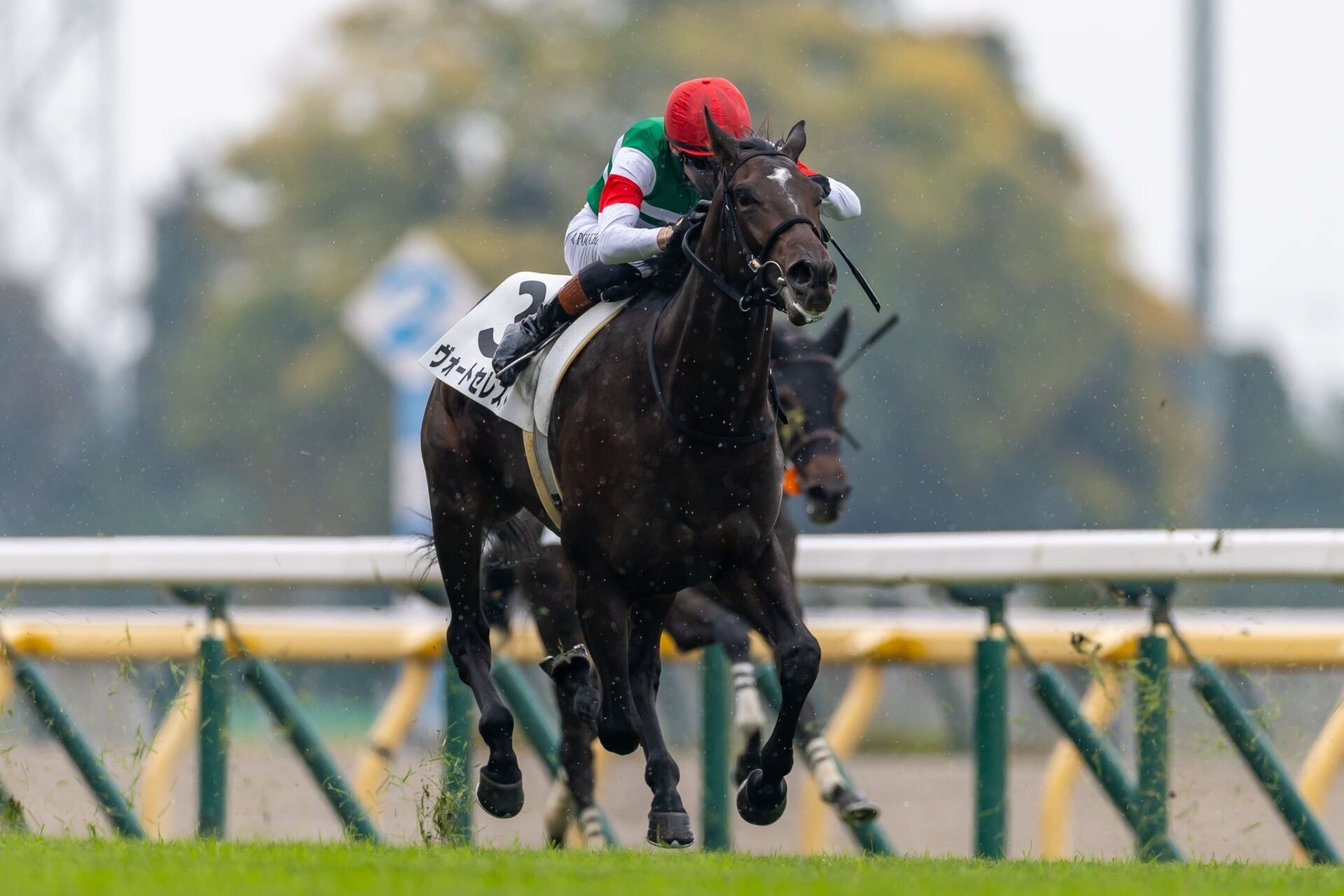 新馬/東京5R】コントレイル産駒 ヴォートセレストがデビューV | 競馬