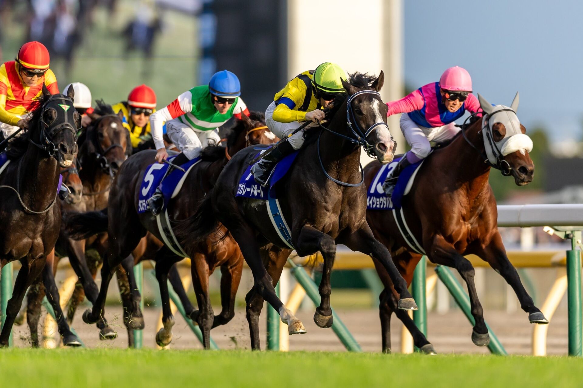 905E8027-C2C6-4BBD-A08B-