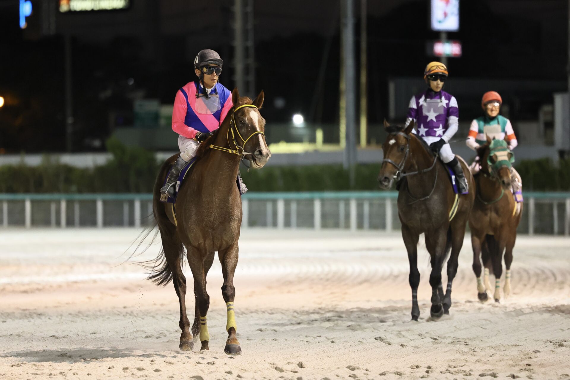 JBCクラシック】浜中「底力を感じるレース内容」メイショウハリオは力