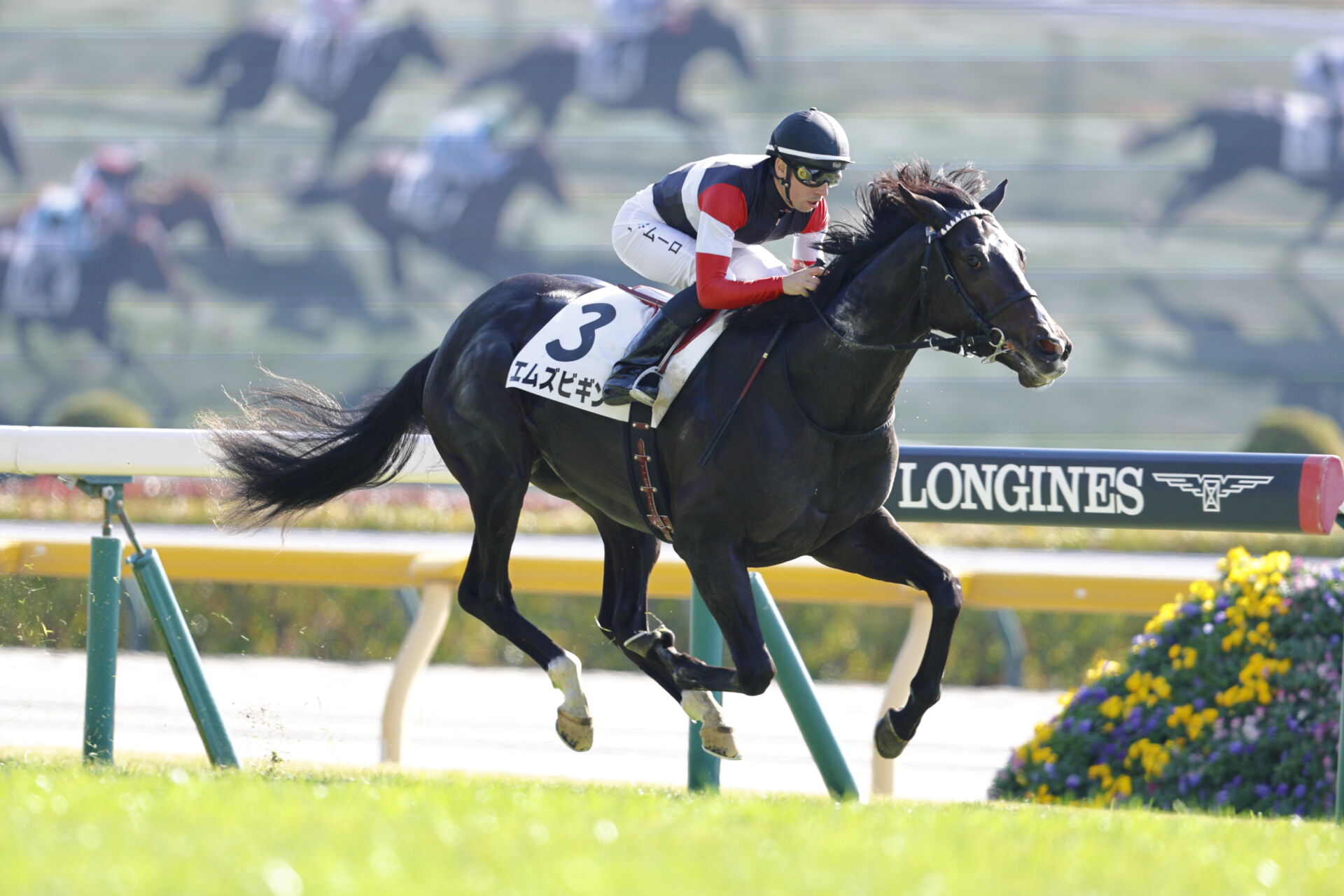 きさらぎ賞登録馬】6億円ホース・エムズビギンなど10頭 | 競馬ニュース
