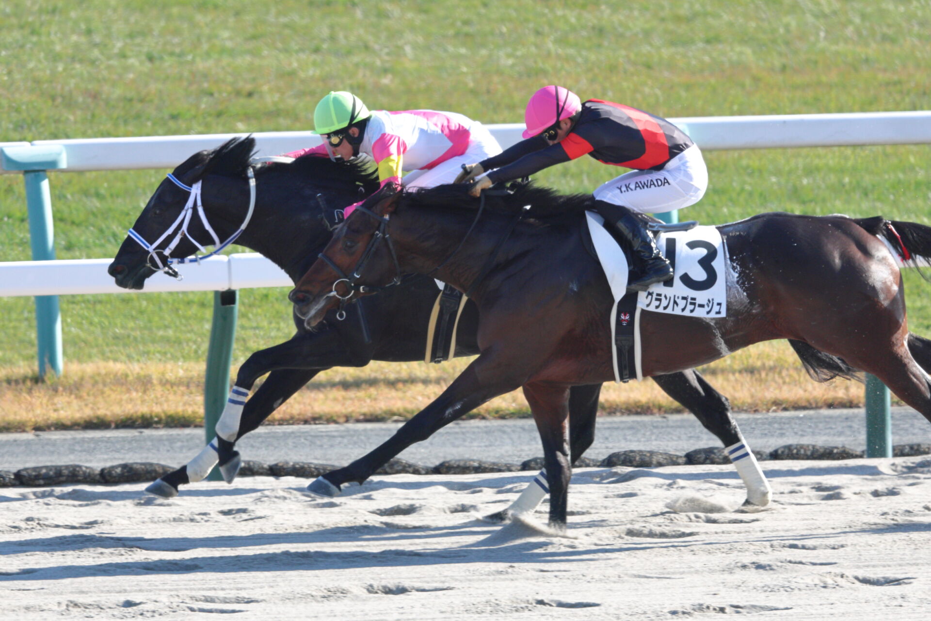 京都8R】武豊モックモックが抜け出す | 競馬ニュースなら競馬のおはなし