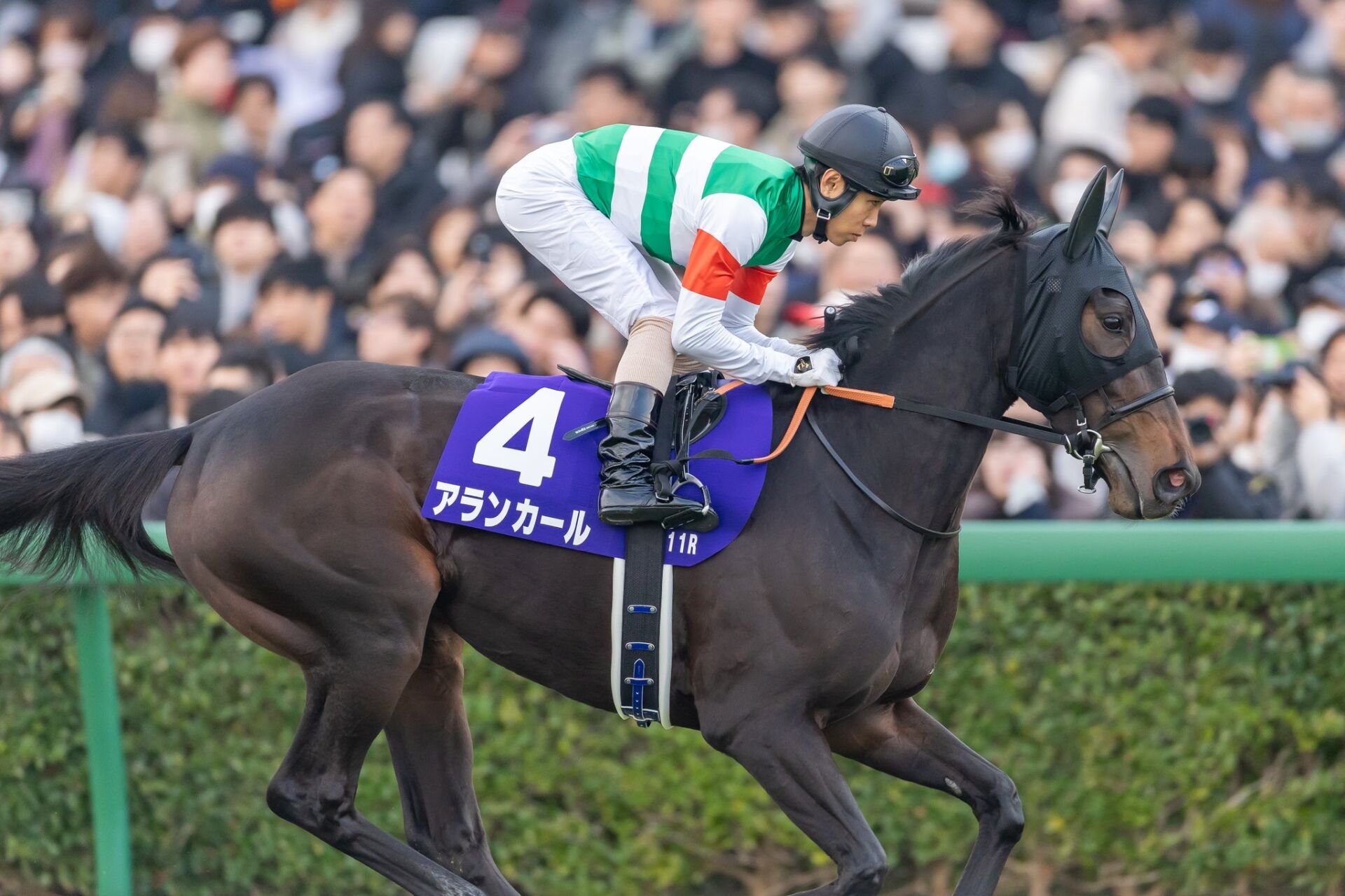 阪神JF】北村友「最後は甘くなってしまった」レース後ジョッキー 阪神JF】北村友「最後は甘くなってしまった」レース後ジョッキー