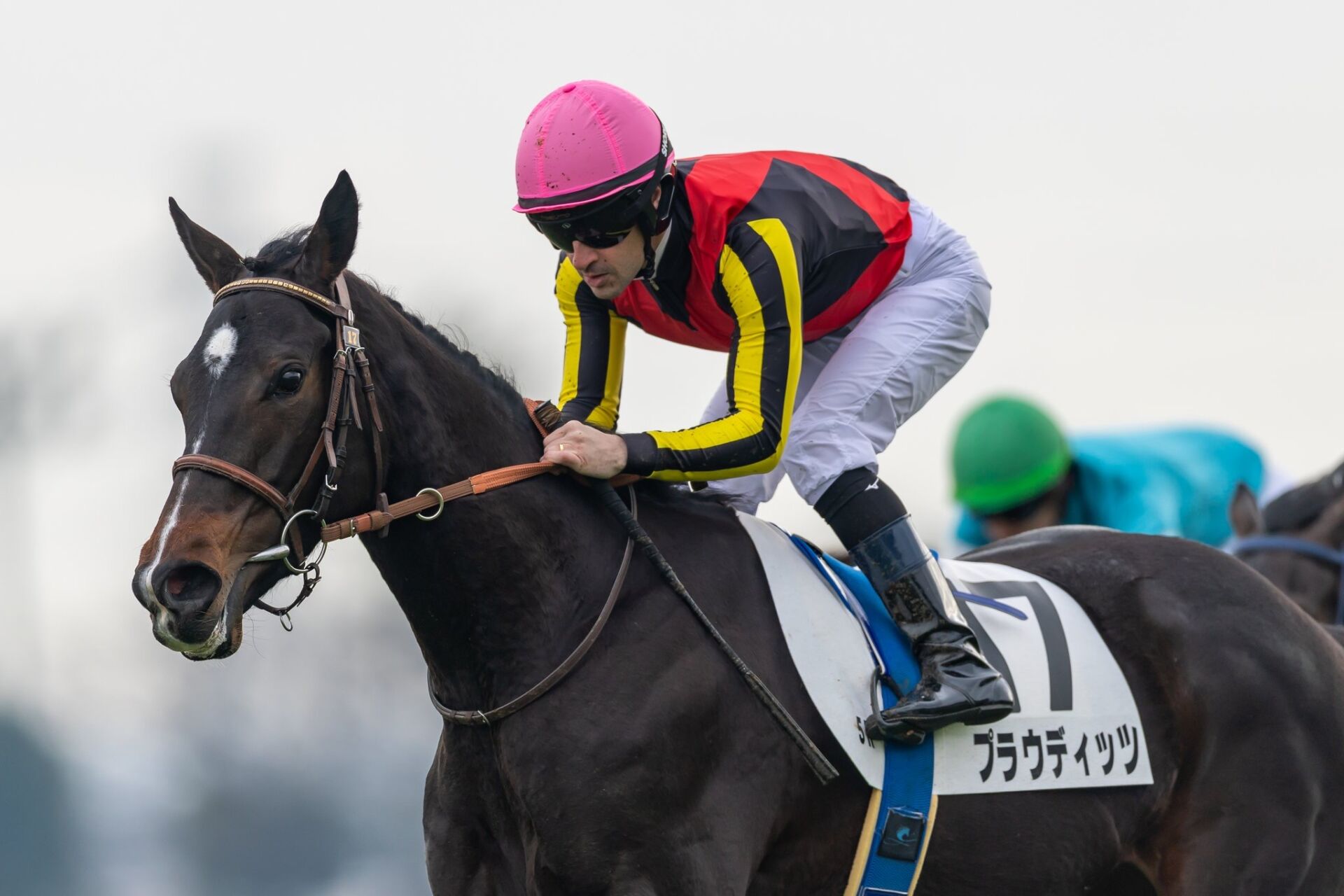 新馬/中山5R】大物感溢れるプラウディッツがデビューV | 競馬ニュース