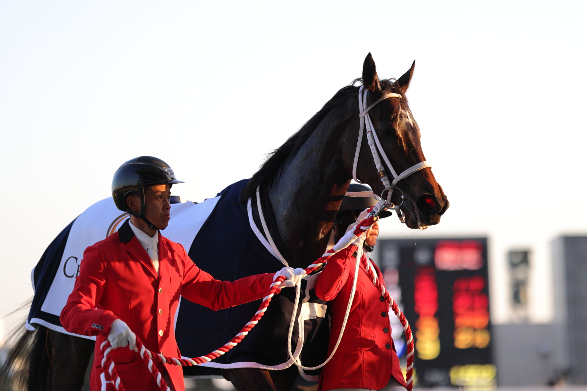 WIN5は2653票的中…チャンピオンズCはダブルハートボンドがV | 競馬