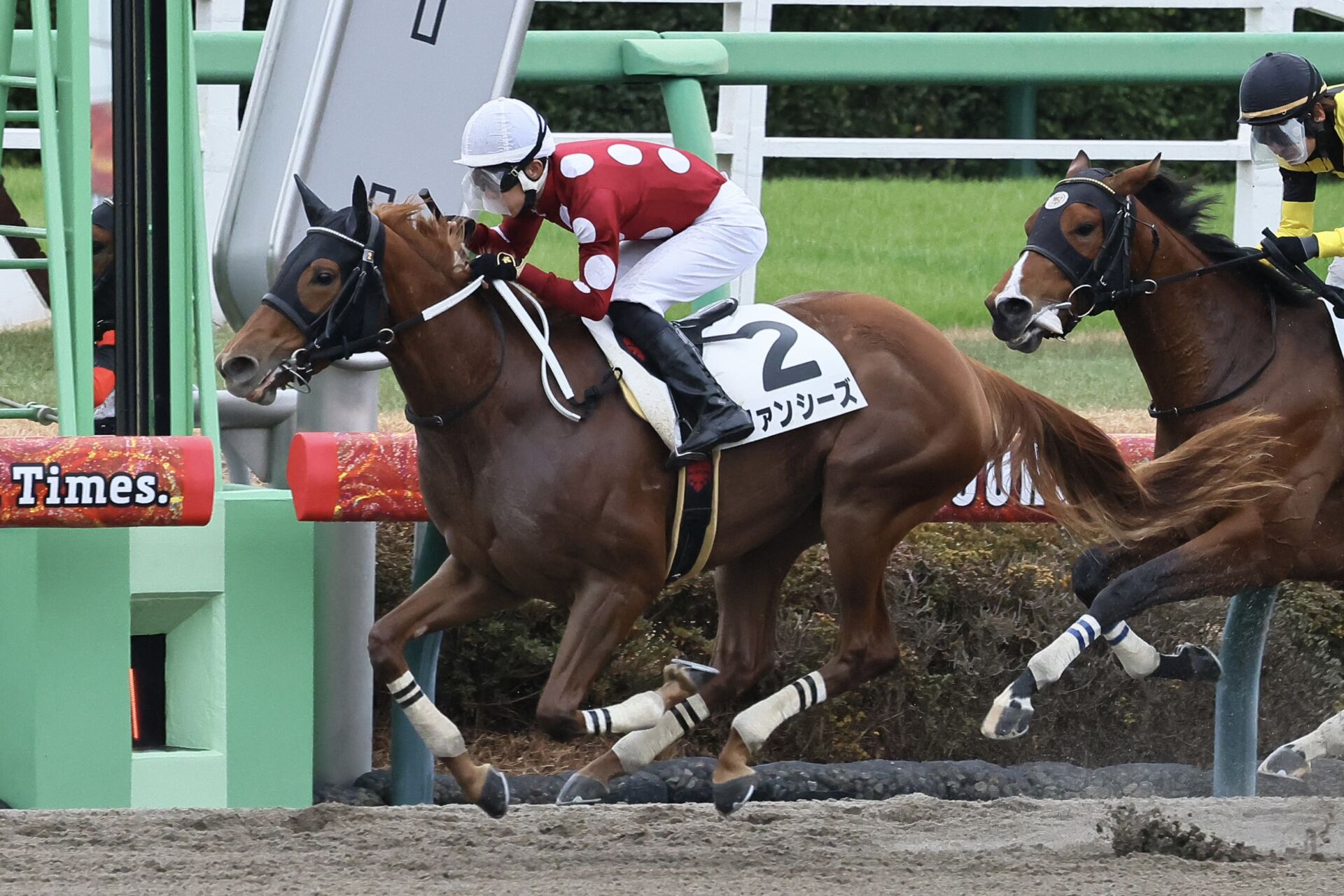 まねき馬 25周年レインボー 2060ルヴァンスレーヴ まねき馬 25周年レインボー 2060ルヴァンスレーヴ 2022年産駒の新馬戦