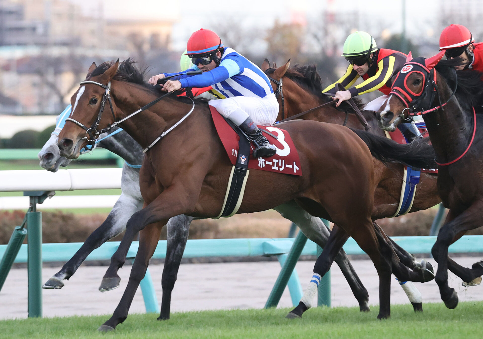 ダイヤモンドS登録馬】スタミナ自慢集結！ホーエリートなど15頭 | 競馬