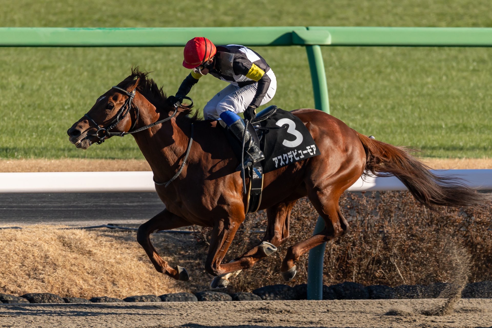 [20点セット] 福永元 / 岩田康誠 / 和田竜二 他 競馬 ジョッキー 騎手 サイン 招福S】最後方から大まくり！岩田康誠騎乗 アスクデビューモアが快勝