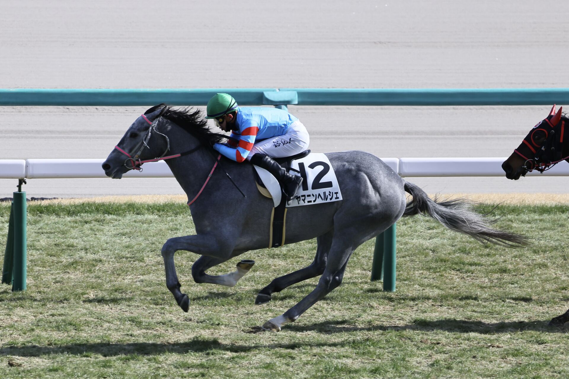 新馬/中山5R】3連単925万円超！16番人気ヤマニンヘルシェが大波乱を