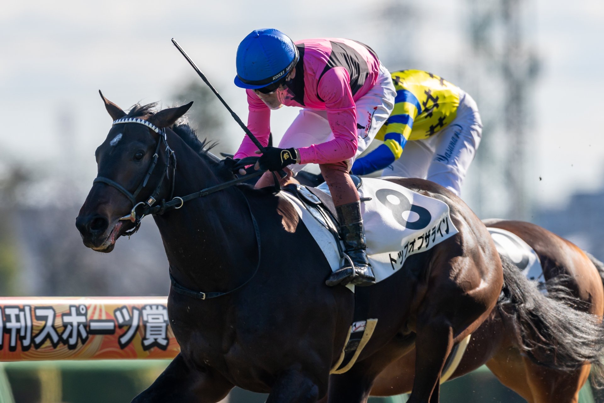 新馬/中山6R】3連単200万円超えのお年玉！7番人気トップオブザラインV