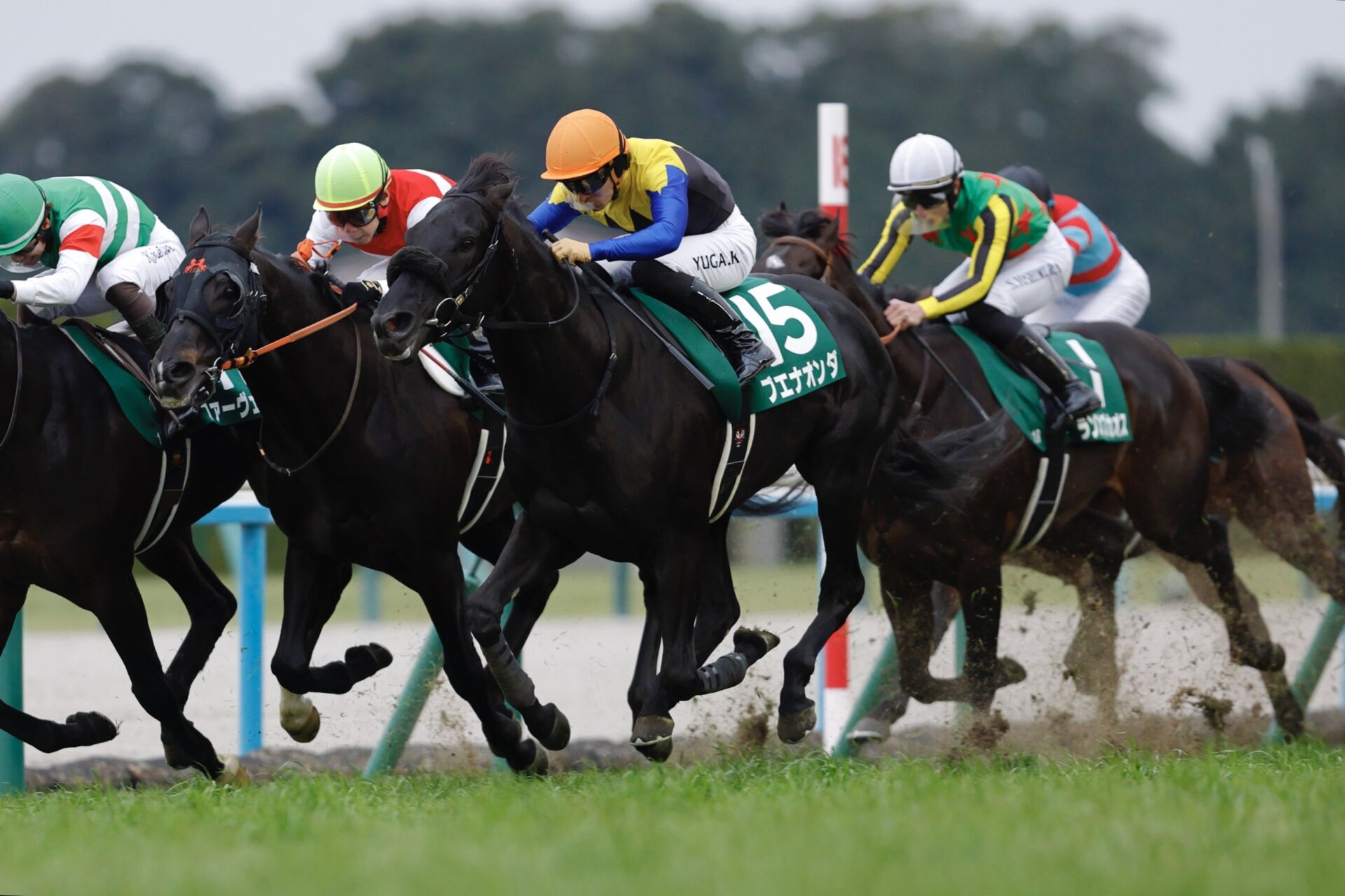 お取り置きブエナオンダ 2026年 京都金杯 S__138256391.jpg