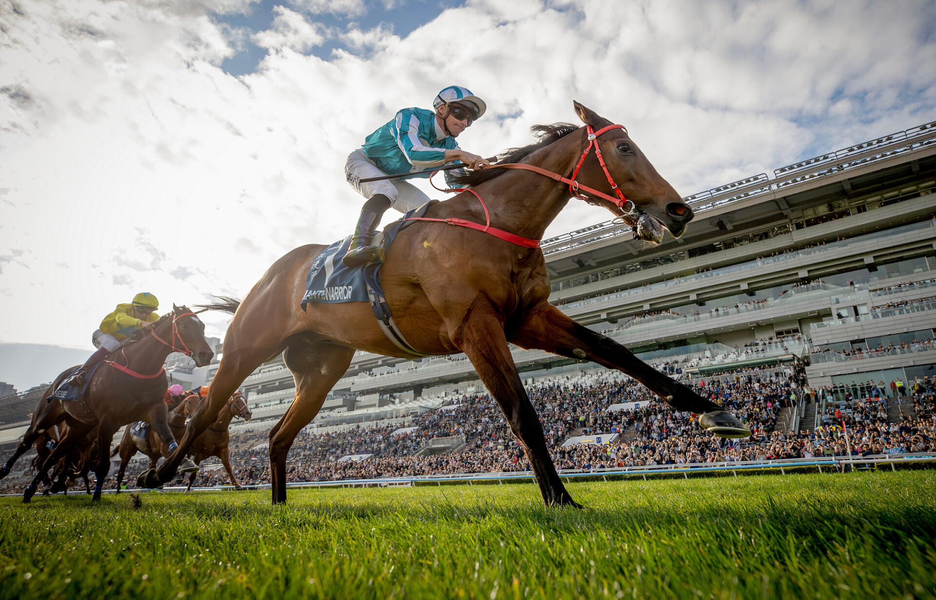 香港競馬】ロマンチックウォリアー王者対決を制す…スチュワーズカップ