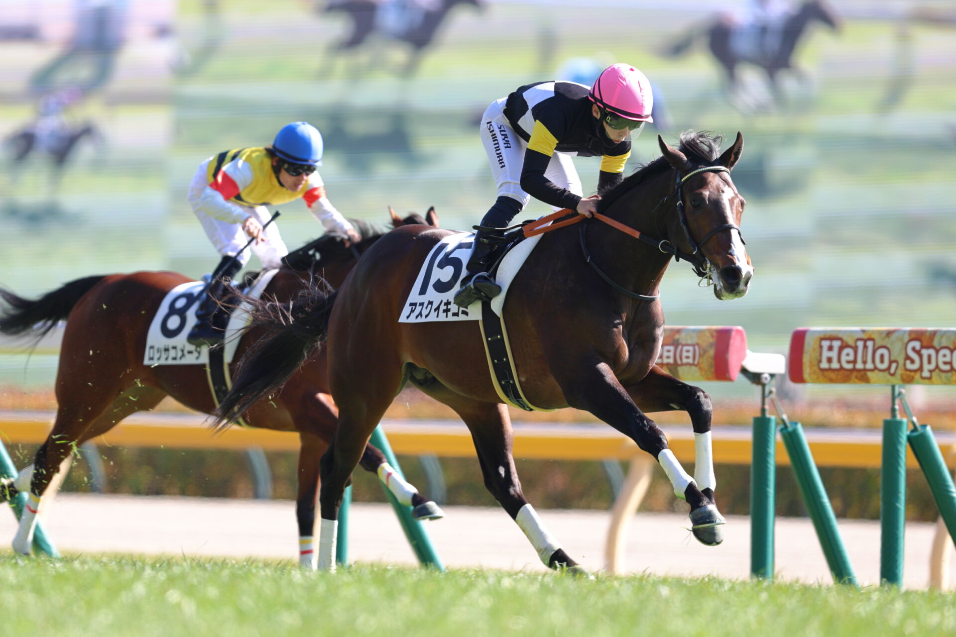 新馬/東京5R】ロードカナロア産駒 アスクイキゴミがデビューV | 競馬