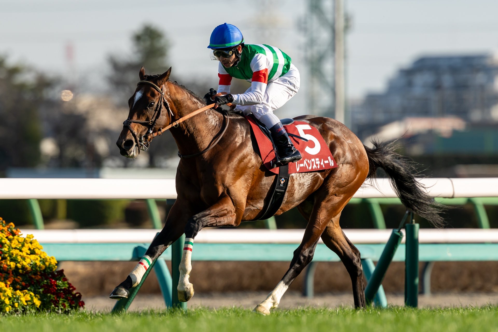 中山記念】レーベンスティールが貫禄の重賞5勝目 | 競馬ニュースなら