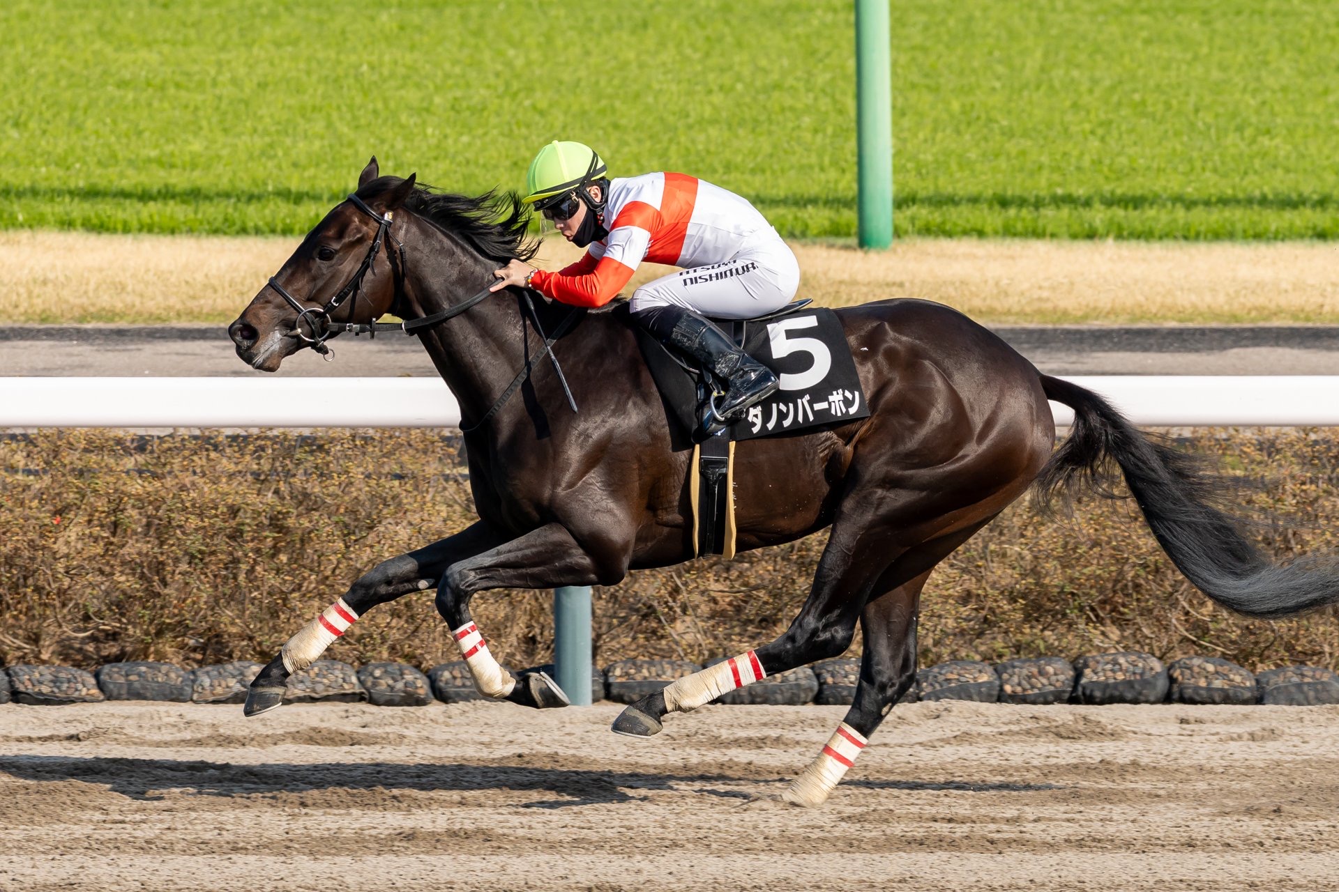 ケンタッキーダービー】ダノンバーボン＆ワンダーディーン参戦、日本の