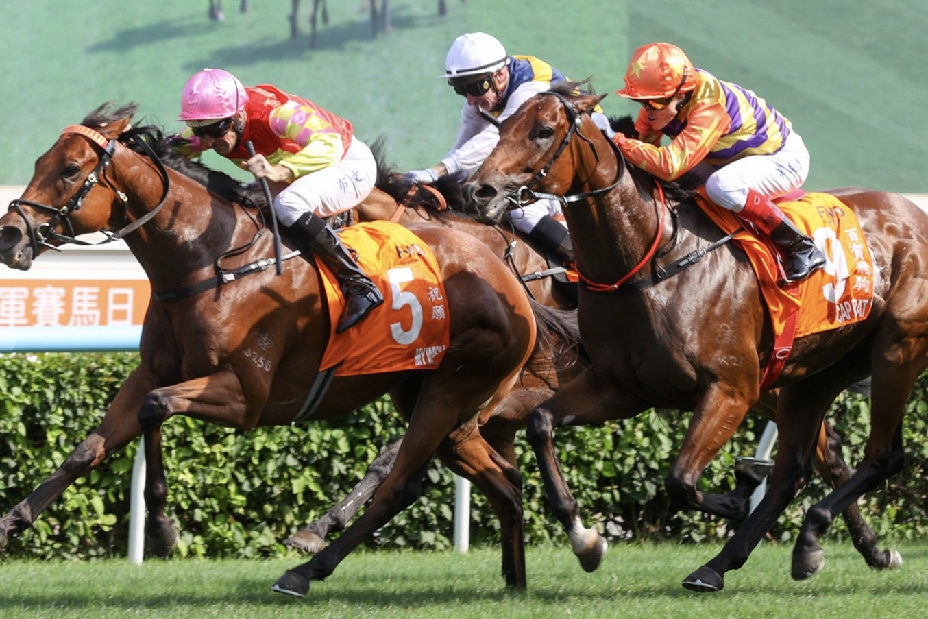 合う馬 チャンピオンズマイル】伏兵キャップフェラ激走の2着…ウィリアムズ
