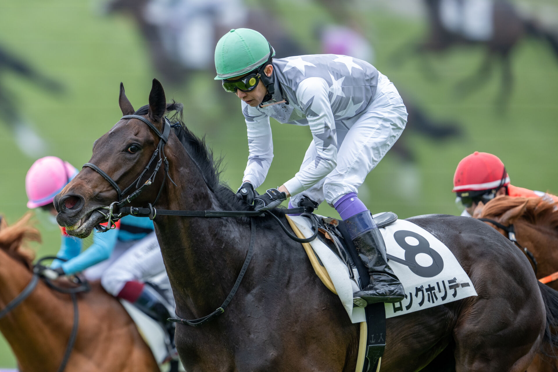 京都5R】武豊騎乗ロングホリデーが差し切りで初勝利 | 競馬ニュース