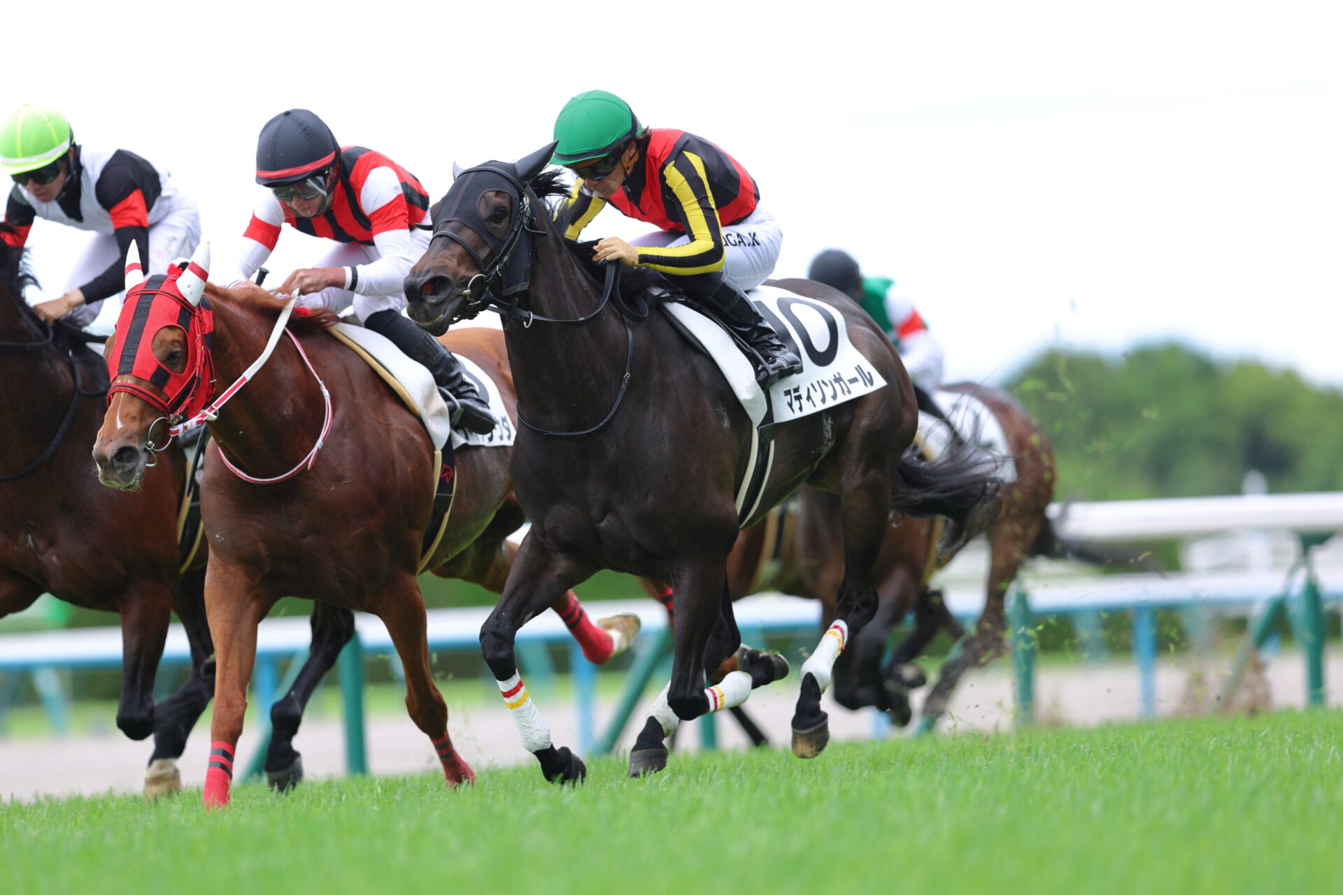 Yahoo!オークション 「競馬デビュー」の落札相場・落札価格 マディソン