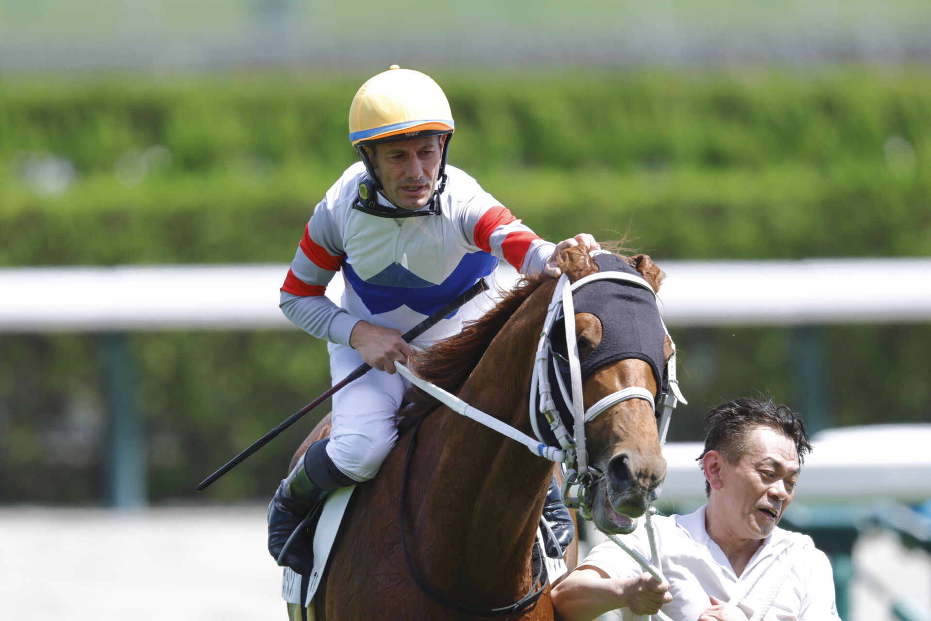 京都7R】M.デムーロ騎手が日本帰国後初勝利…テンエースワンで鮮やか
