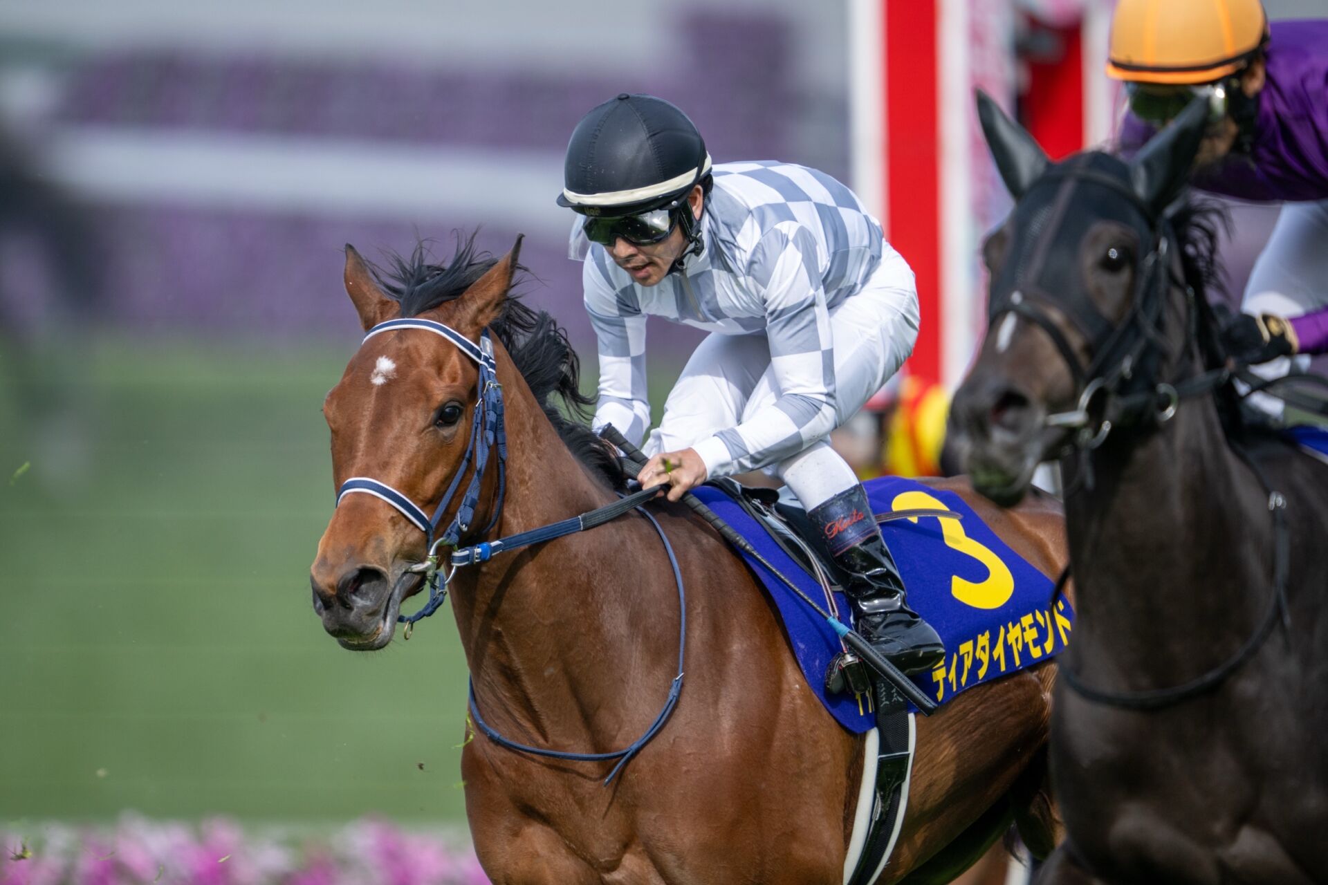 名馬 生写真 写真集 レース写真 種牡馬 競走馬 アルバム 競馬 あのメイケイエールが“オリコン3位”にランクイン！ なぜ競走馬の写真集