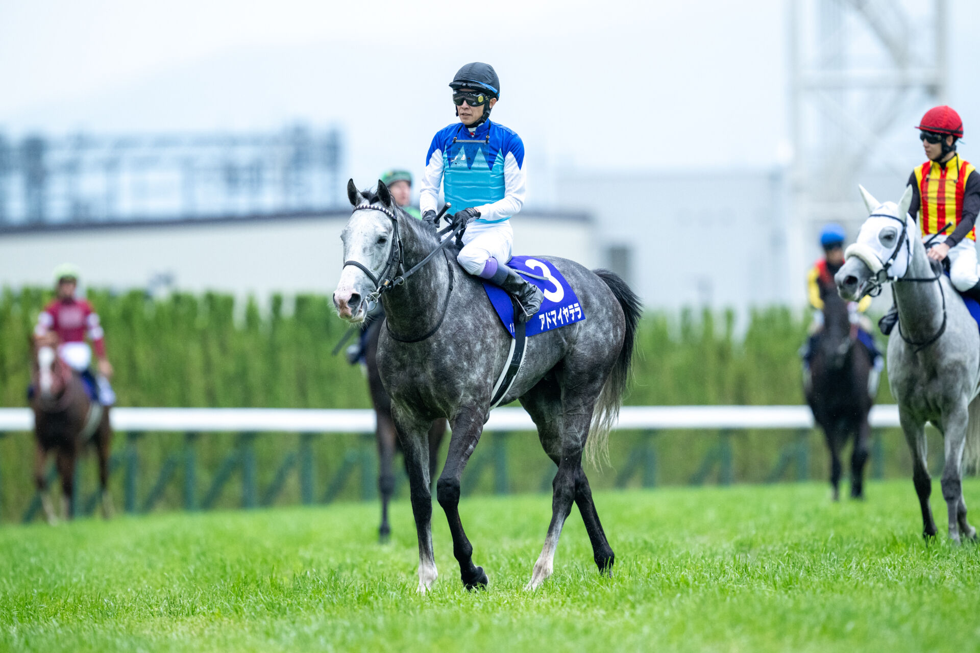 天皇賞・春】武豊アドマイヤテラは3着…勝利したのはクロワデュノール
