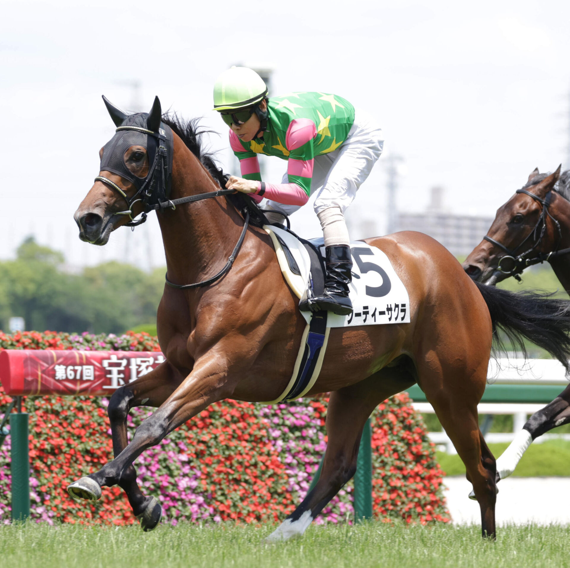 新馬/阪神5R】西の一番星はジーティーサクラ…上がり32.4秒の豪脚で新馬