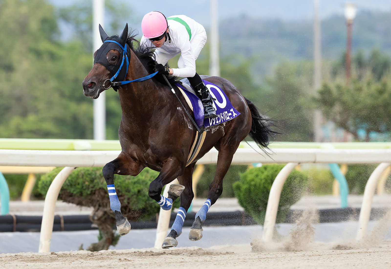 水沢・東北優駿】レジェンドバローズ完勝！石川倭「世代トップレベル