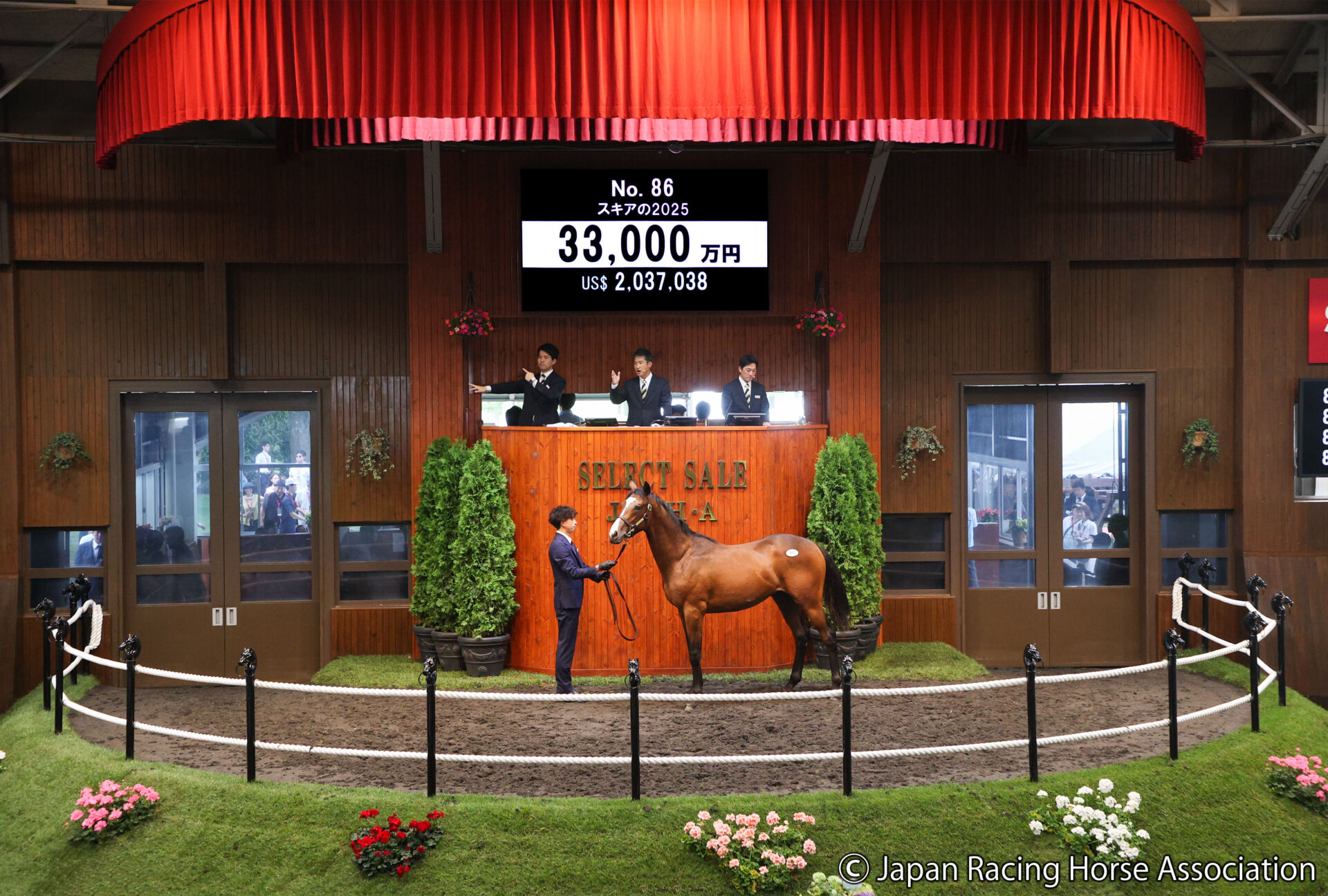 セレクトセール2026】皐月賞馬ソールオリエンスの全弟に3億3000万円