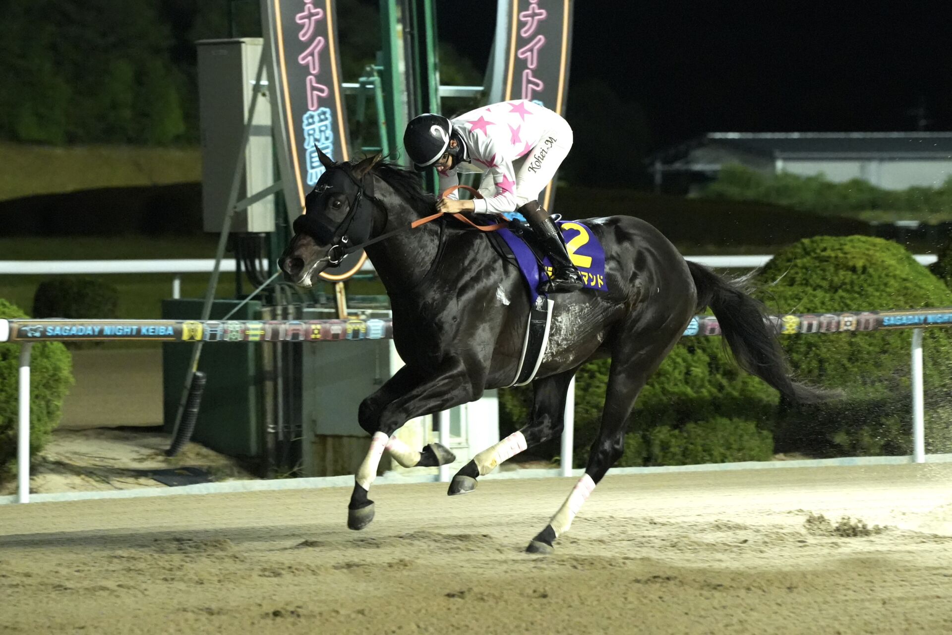 サマーチャンピオン】断然人気マテンロウコマンドが重斤量克服…長谷川